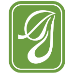 Greenish Baraka-01 Greenish Baraka-01